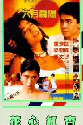 成人精品综合免费视频