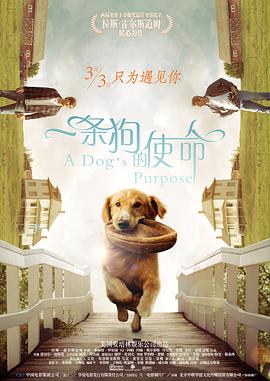 99久久亚洲综合精品网站