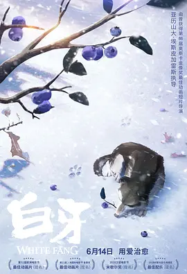 国产91在线视频观看