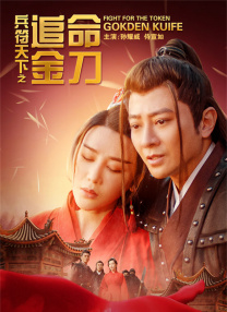 久久少妇免费视频